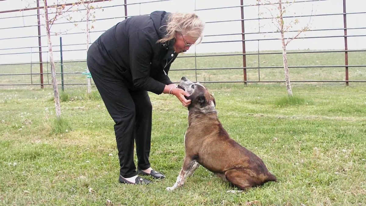 The dog who disappeared for nine years, then came home