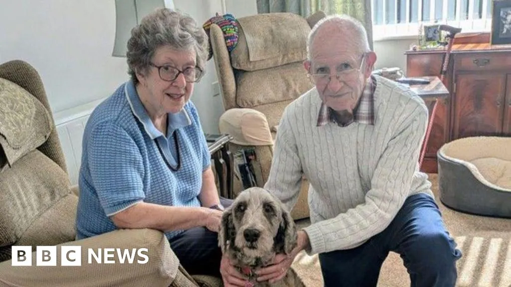 She sat still for 48 hours while 86 other dogs were carried out around her