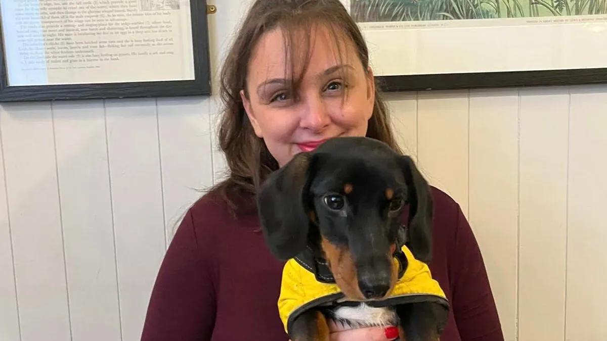 The smallest dog in north Cambridge