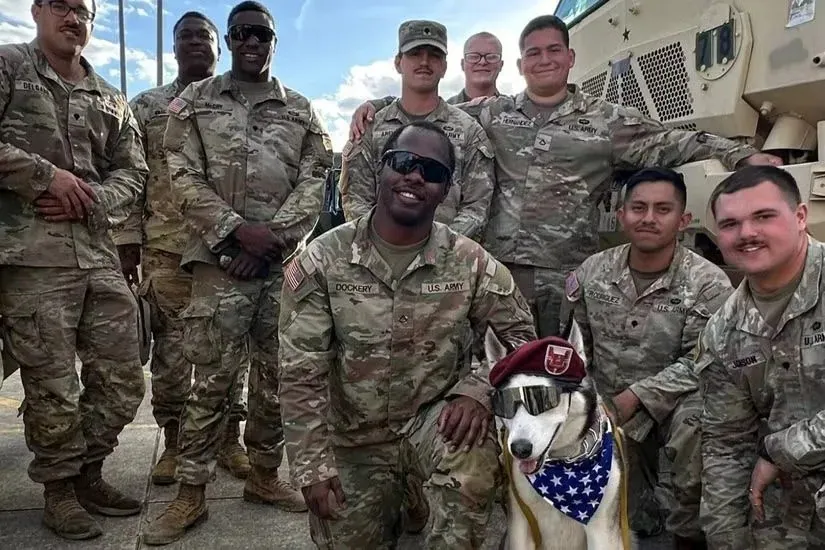 The husky in a maroon beret who feels when soldiers are having a bad day