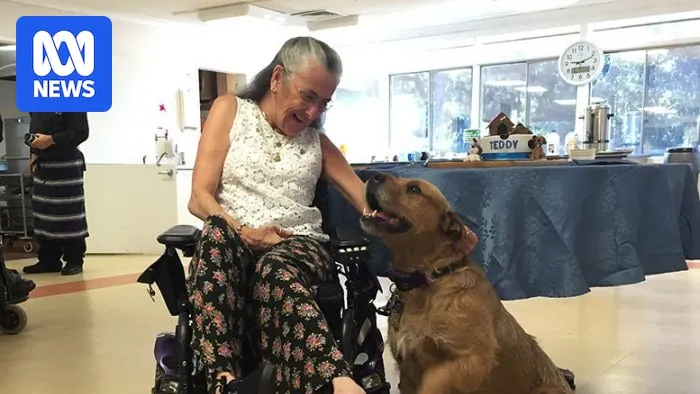 The dog who could only be patted with a foot, and never minded