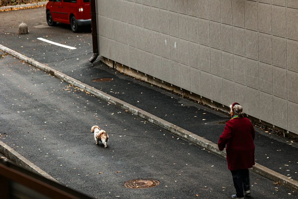 What 160 elderly dog owners in France told researchers about loneliness