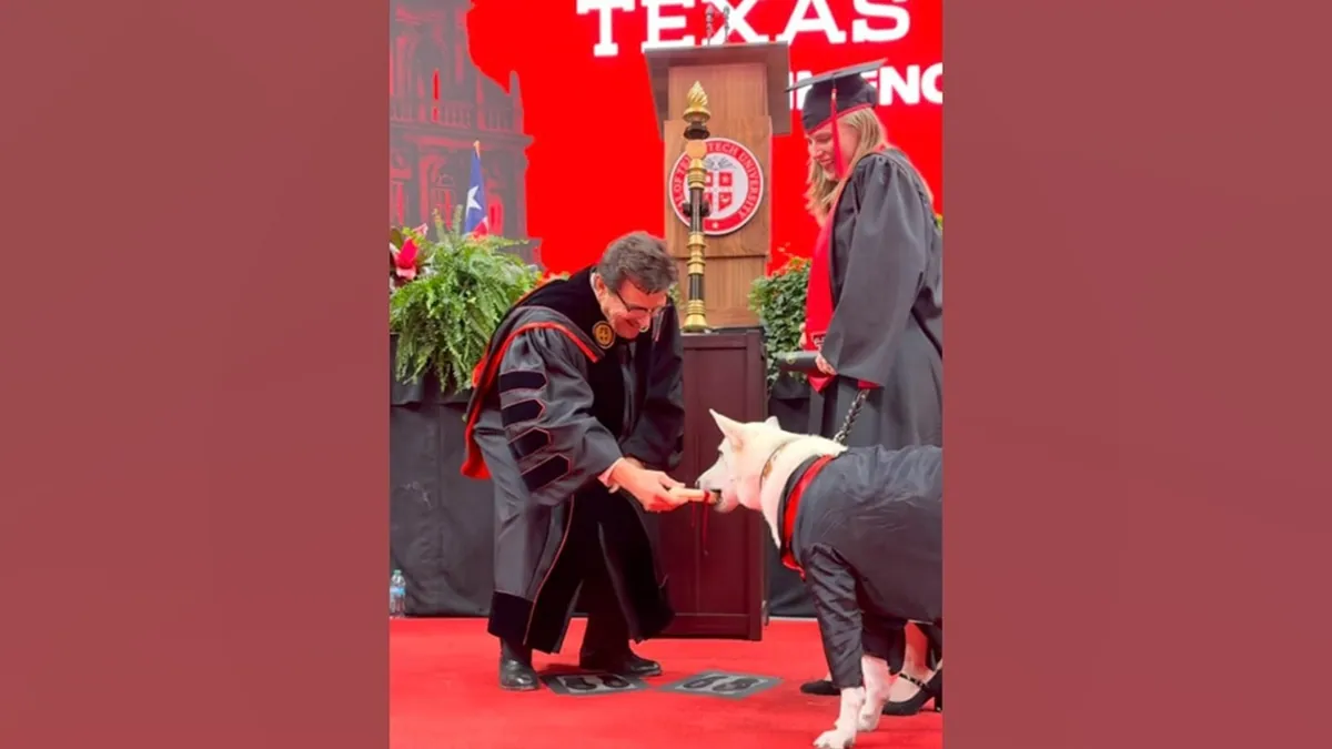 Sadie's dogploma and what it takes to graduate together