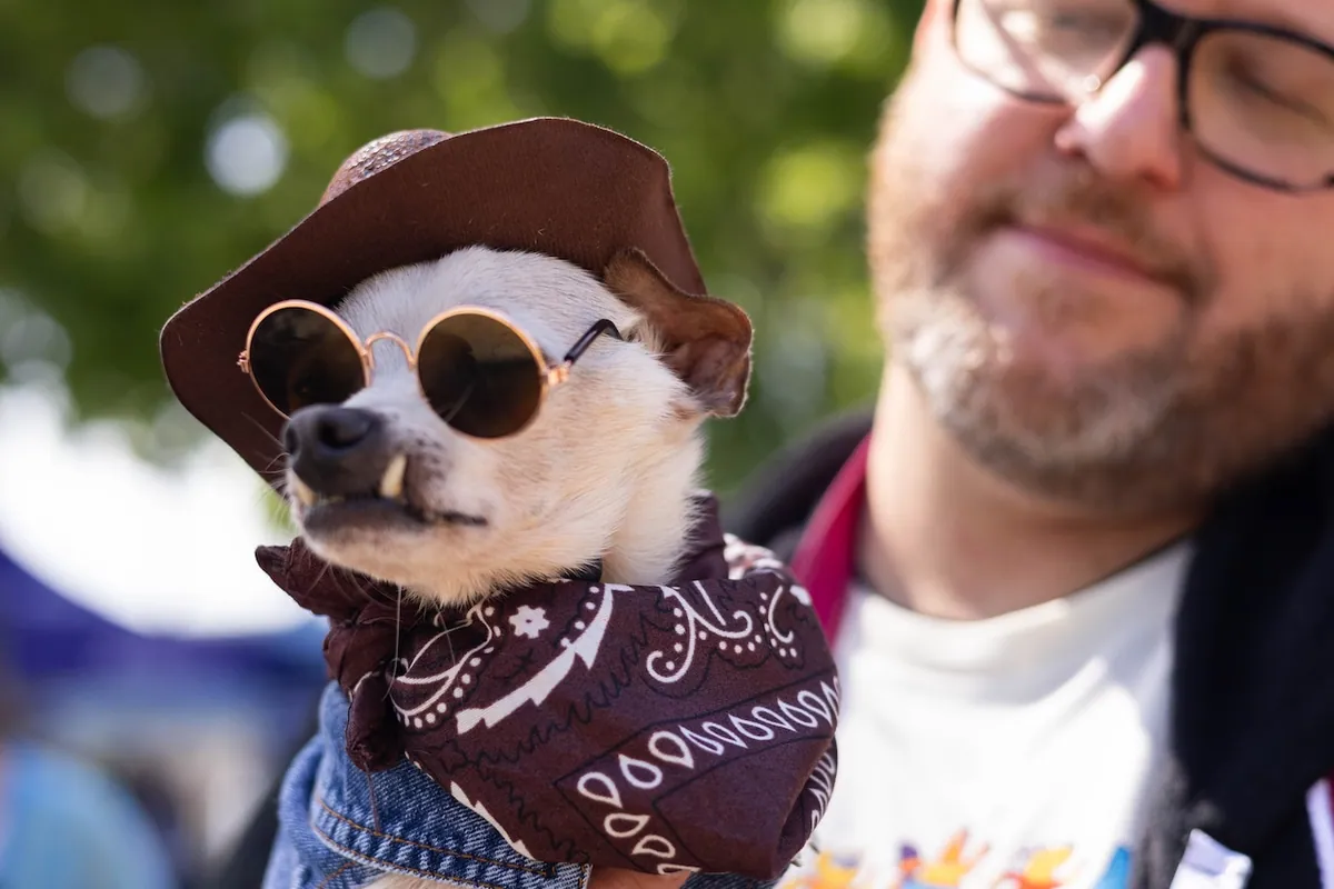 Portland turned out for the dogs — 39 years and still counting