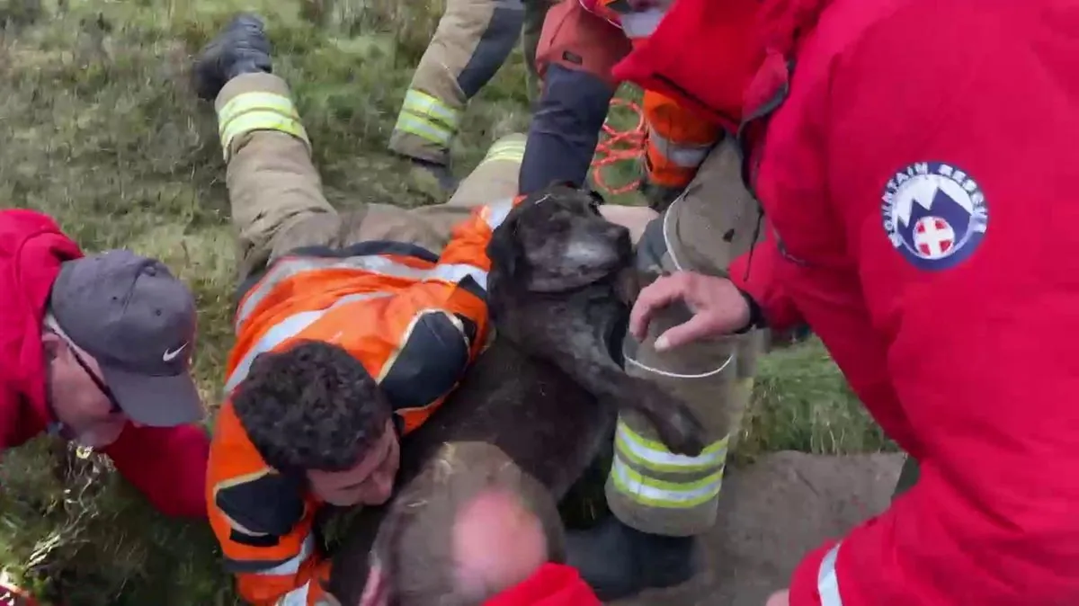 Down 21 feet: how a mountain rescue team brought a 12-year-old Staffie back from the dark