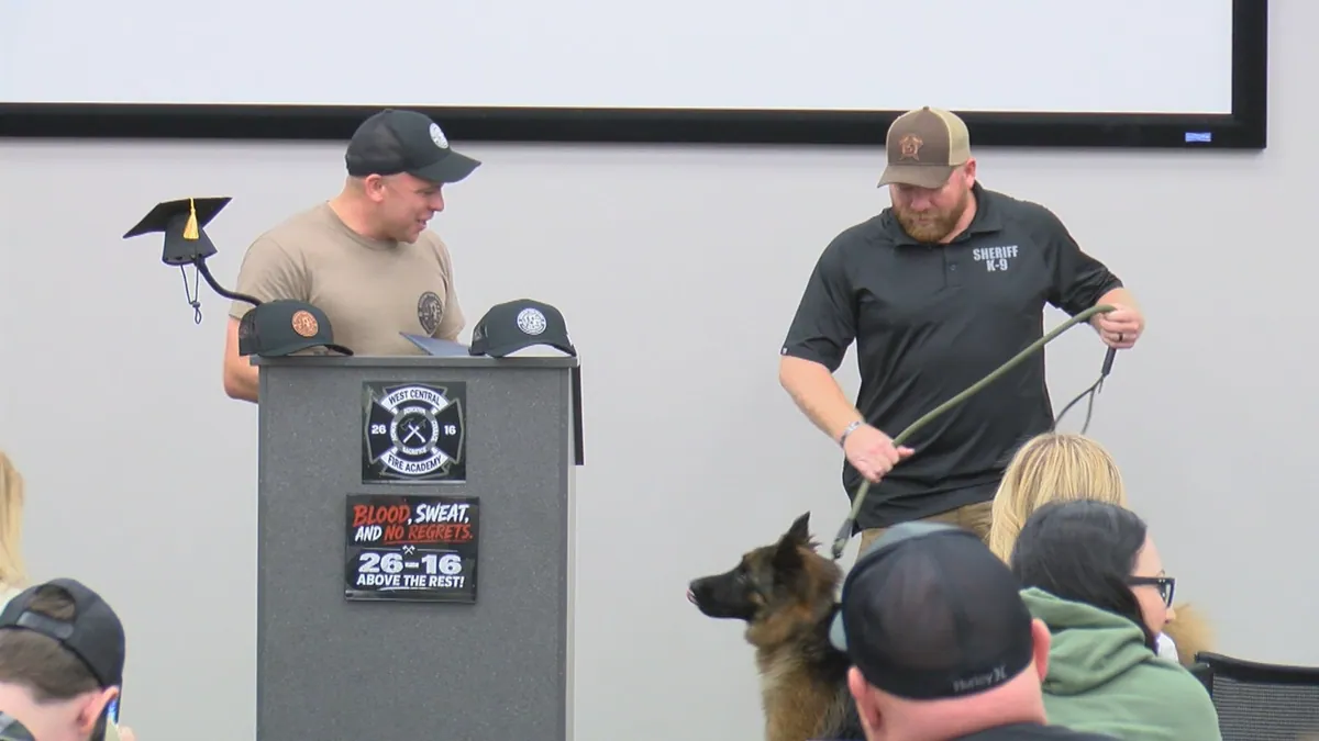 The dogs no one stopped to save are now the ones stopping crime