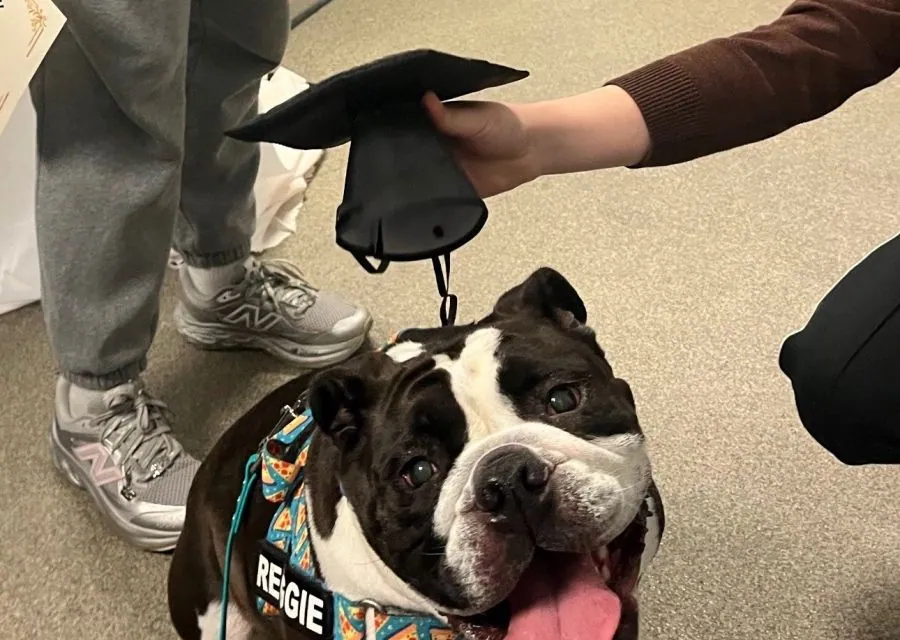 The dogs who crossed the graduation stage too