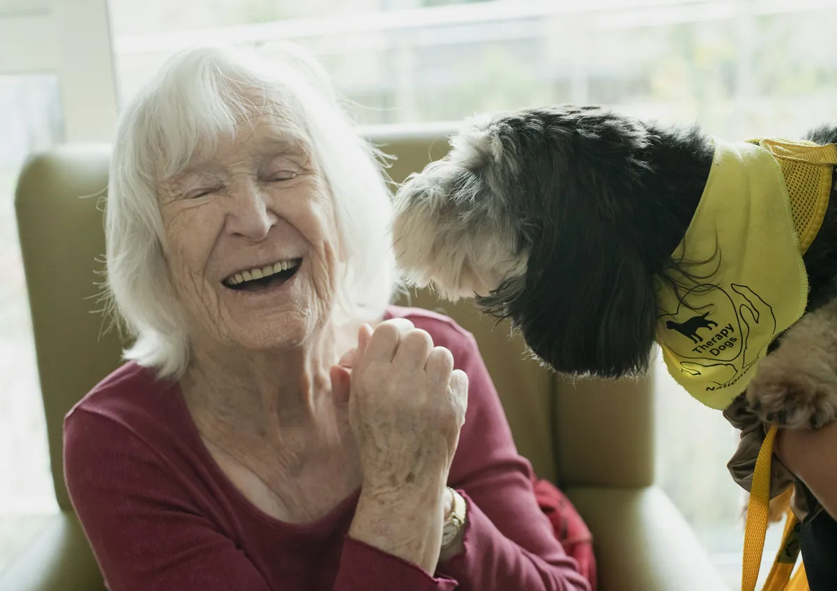 What dogs do for us when everything else falls apart