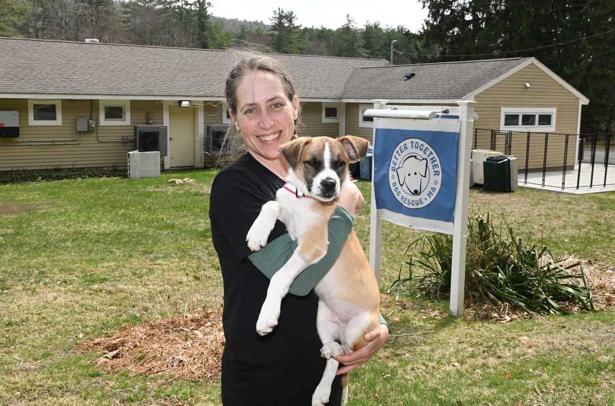 The small Massachusetts rescue that has placed 2,000 dogs in five years