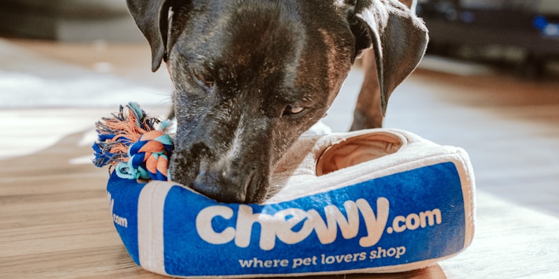 How You Train Your Dog Is a Moral Statement — New Research Backs It Up